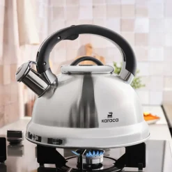 Karaca Kettlinox 2,5 L Druck Wasserkocher