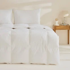 Natural Down Decke 200x200